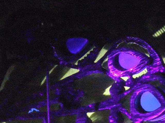 DSCF6136 lres.jpg