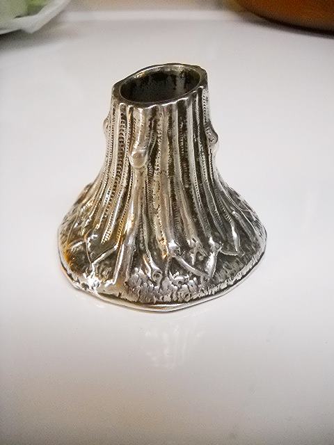 DSCN1915.JPG