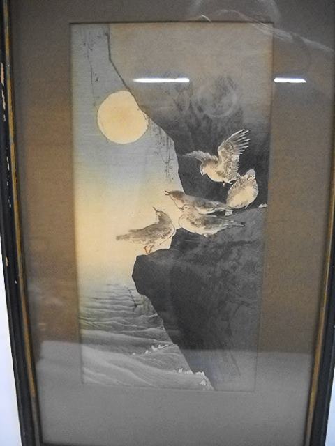 DSCN1932.JPG