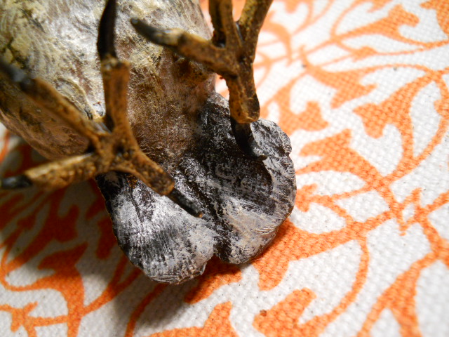 DSCN3430.JPG