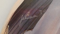 DSCN6949_25932 (2).JPG