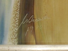 DSCN6953_25936 (2).JPG