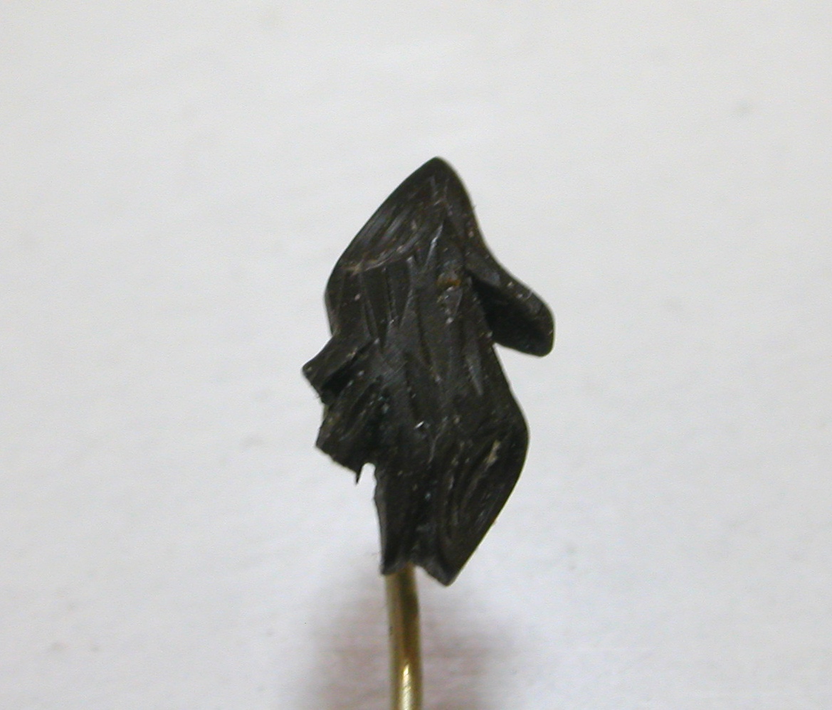 DSCN9135.JPG