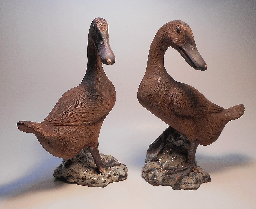 duckforforum1.jpg