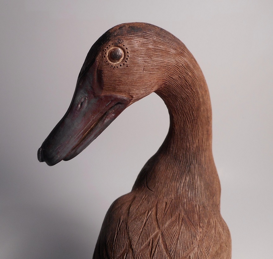 duckforforum4.jpg