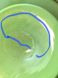 E0316005-B074-41B4-A895-B40E2EB75DF7.jpeg