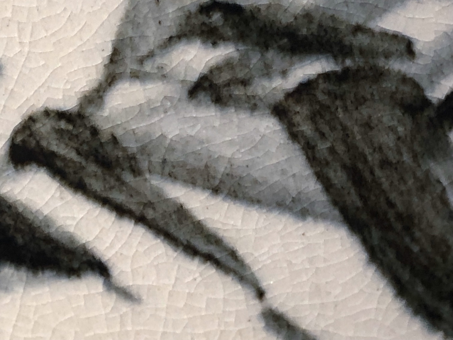 E0D97A47-474C-4228-A9B9-79047548F983_1_201_a.jpeg