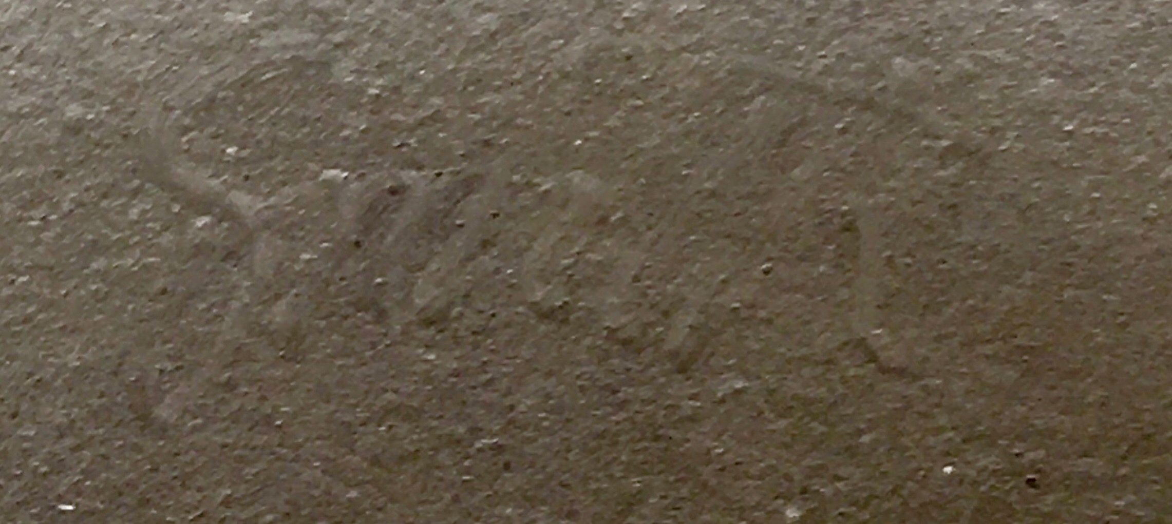 E2D73A16-29A5-4BDC-8537-C6604E4FF690.jpeg