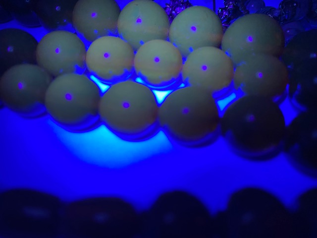 E684C9B2-0A85-4863-B46B-A19189B3E83E.jpeg