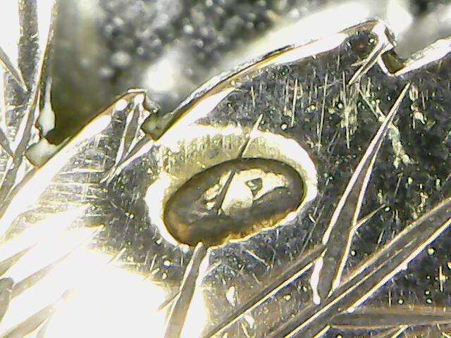 eagle head (Small).jpg