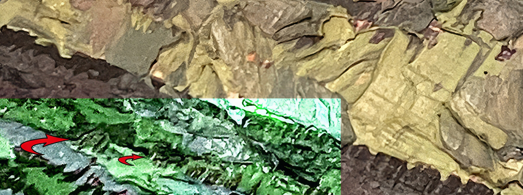 EDITED-IMG_9110-gigapixel-standard v2-2x.jpg