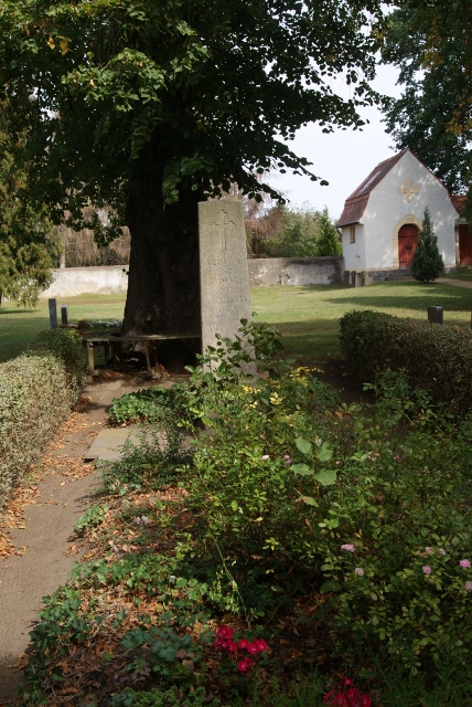 elbeday3 (428x640).jpg