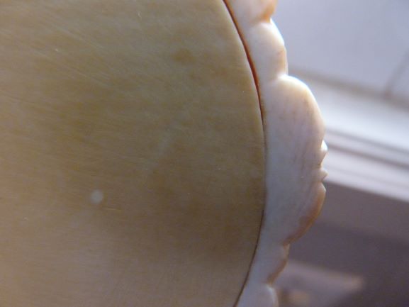 elephant box close up rim.JPG