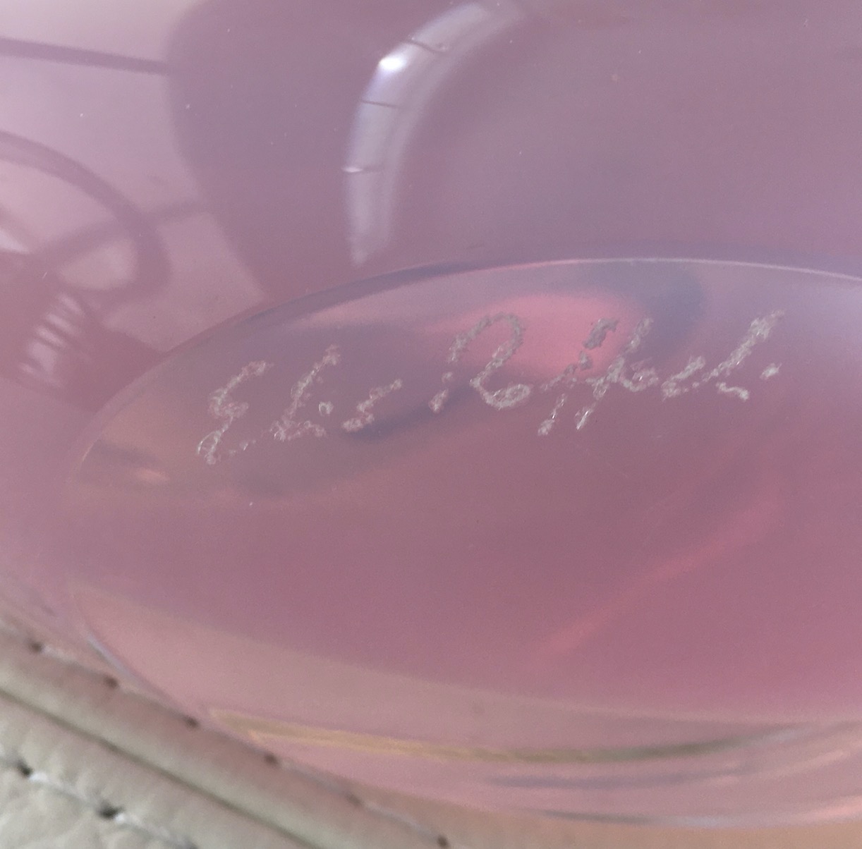 Elio Rafaelli Swans Signature.jpeg