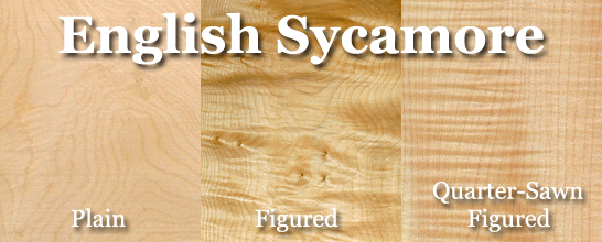 english_sycamore_title2.jpg