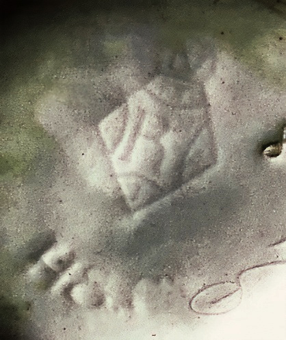 Enhancedthe oneGreen--00x-DeNoiseAI-raw-topaz-exposure-remove-sharpen-color.jpg