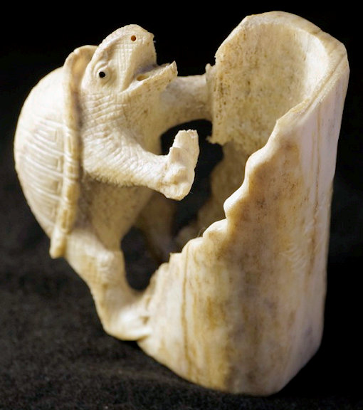 Esteban turtle for me adj1.jpg