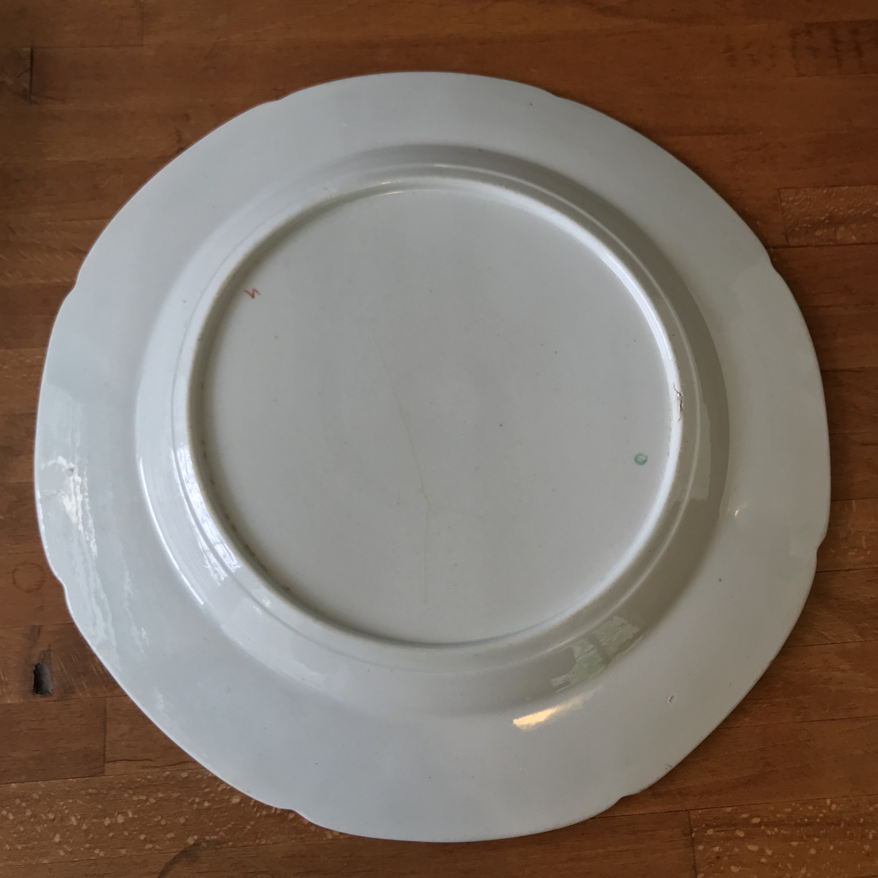 euro plate 1-back.JPG