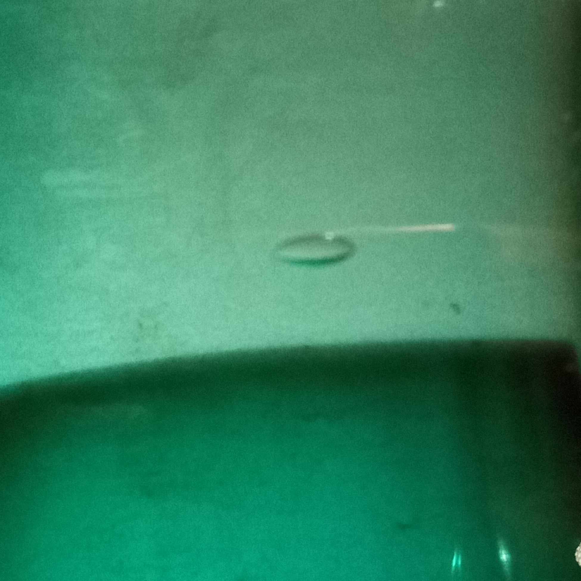 F012 Green water or wine goblets BBB.jpg