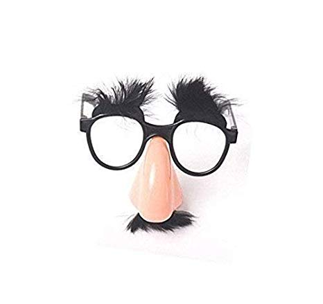 fake nose.jpg