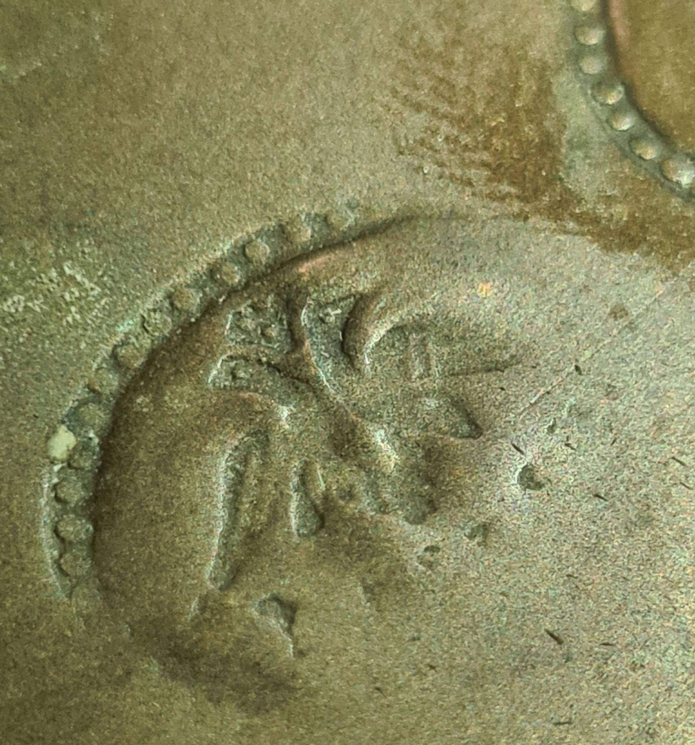 First Mark.jpg