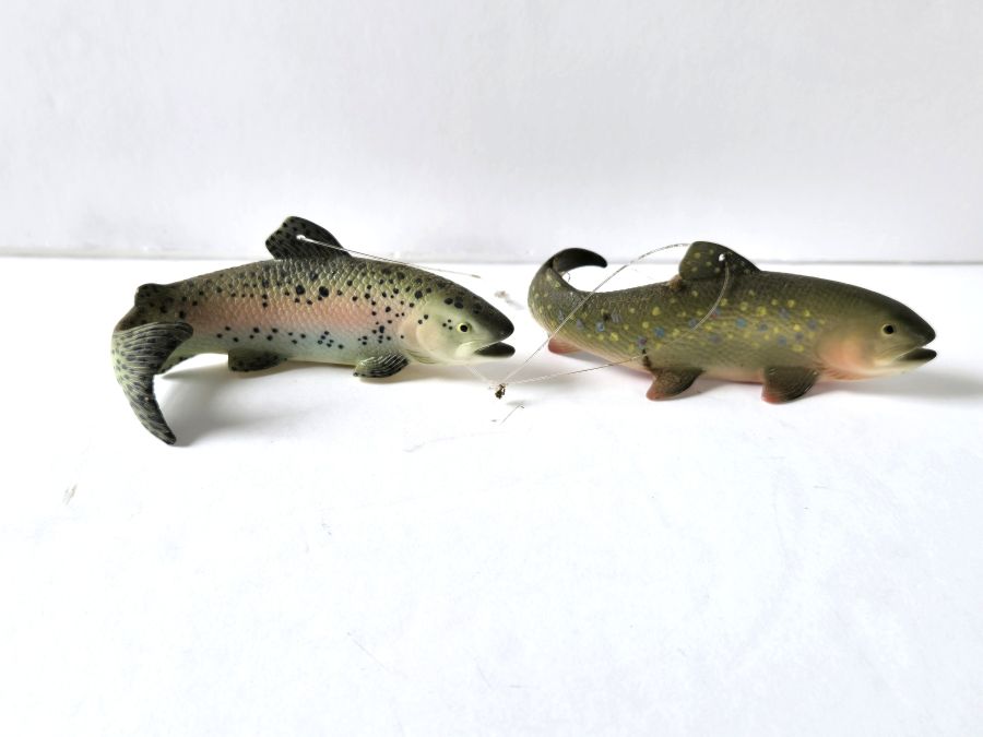 fish1.jpg