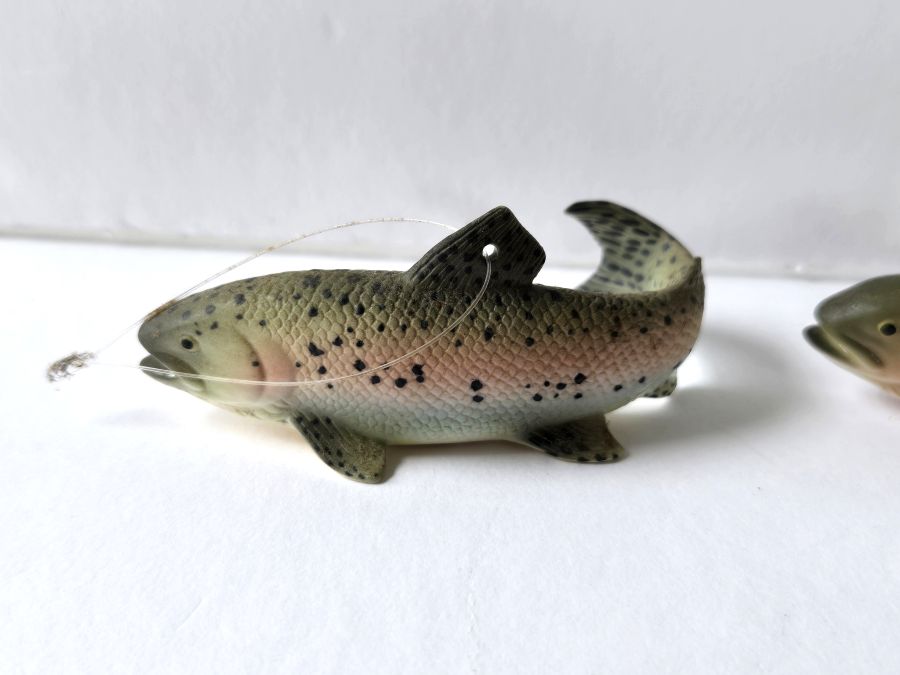 fish3.jpg