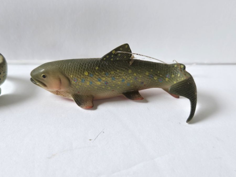 fish4.jpg