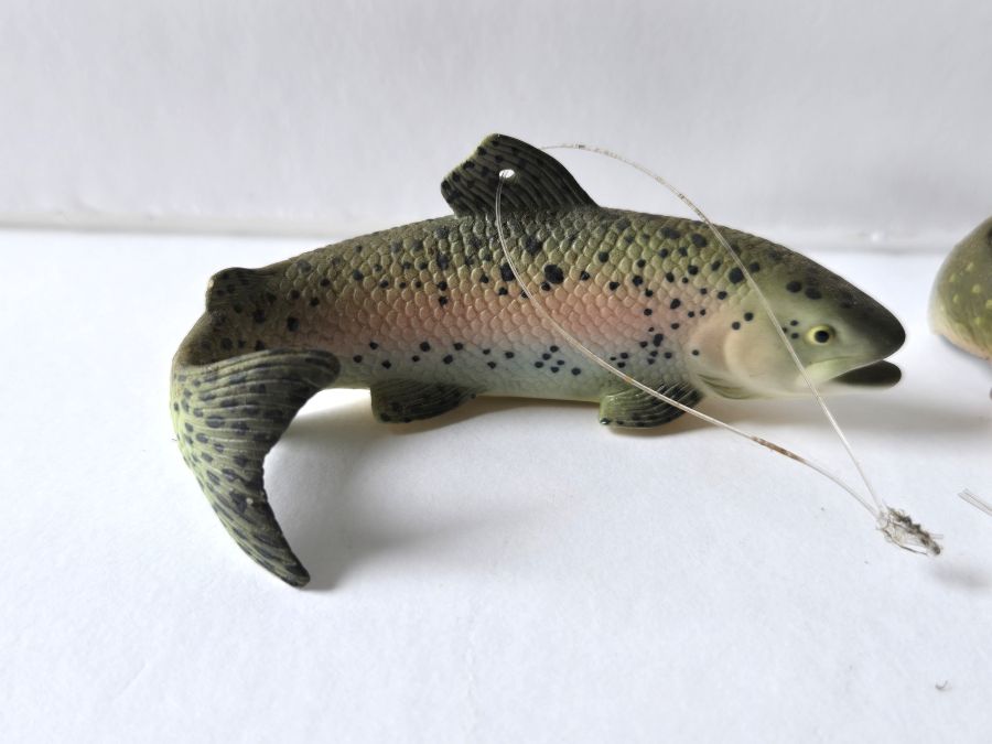 fish5.jpg