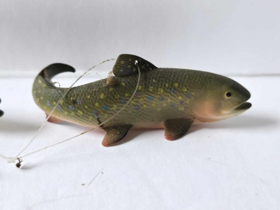 fish6.jpg