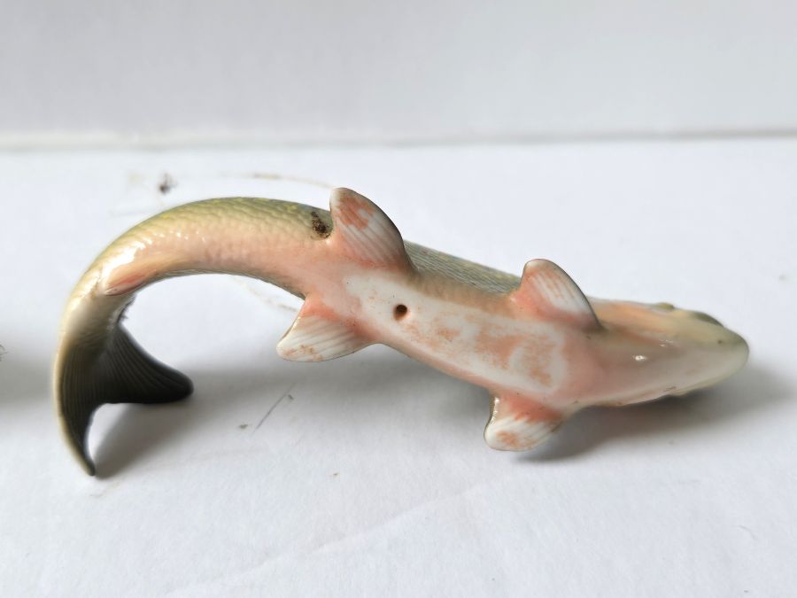 fish7.jpg