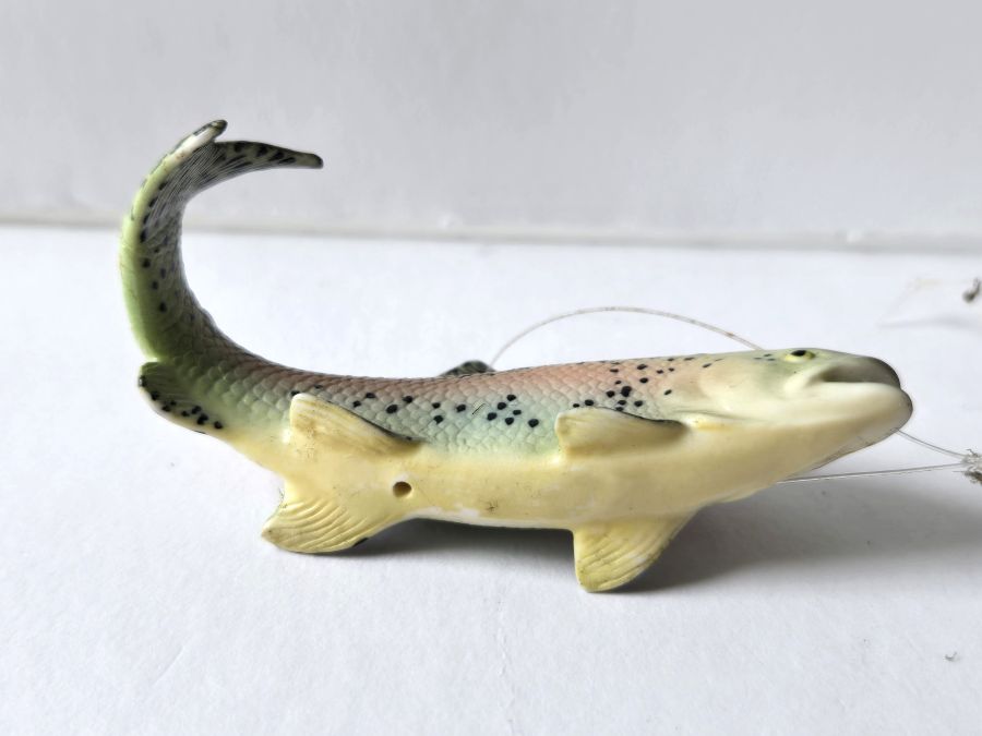 fish8.jpg