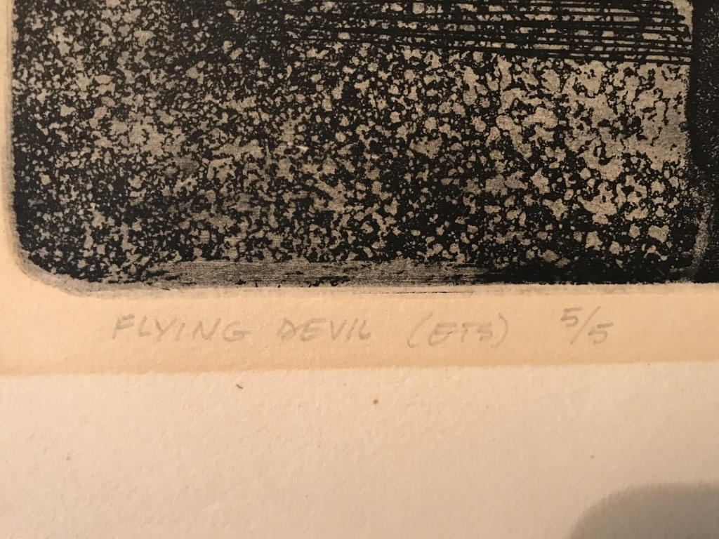 flying devil (10) (Middel).JPG