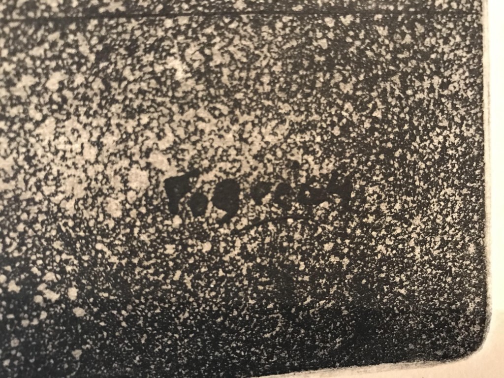 flying devil (7) (Middel).JPG