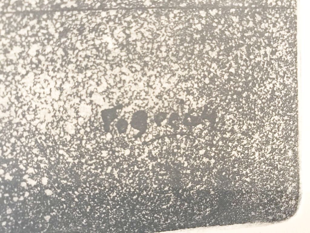 flying devil (7) (Middel).JPG