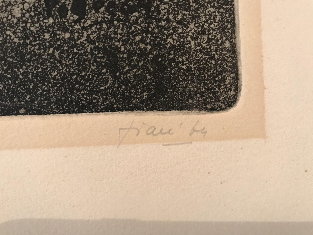 flying devil (9) (Middel).JPG