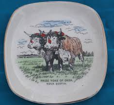 FORUM Oxen.jpg