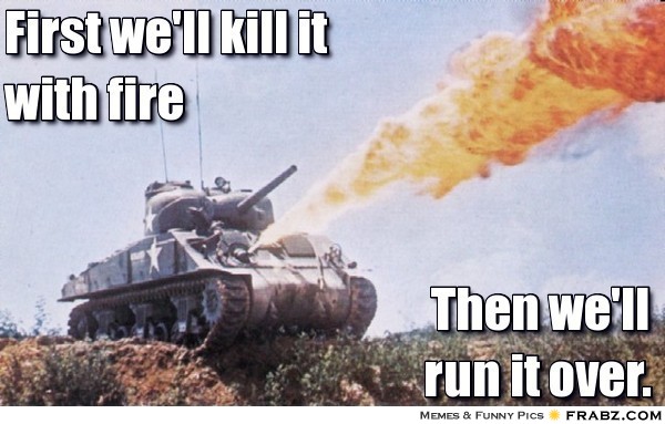frabz-First-well-kill-it-with-fire-Then-well-run-it-over-d36b7c.jpg