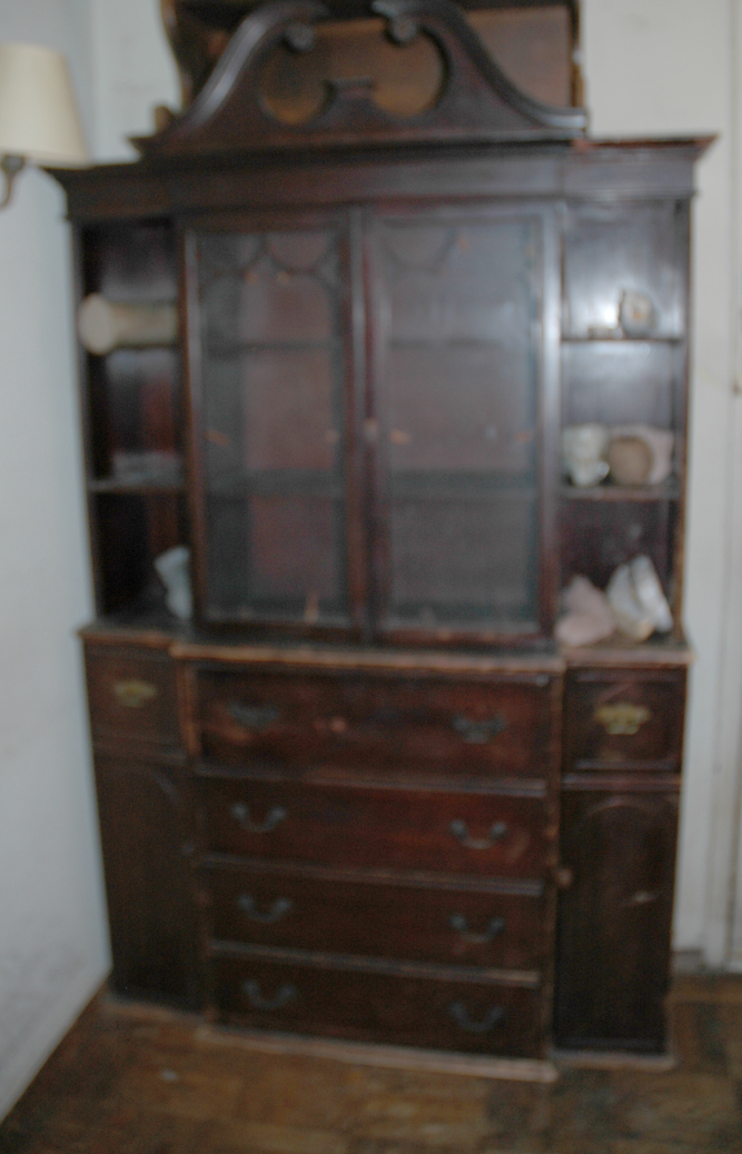 Front View cr edited reduced DSC_0078.png