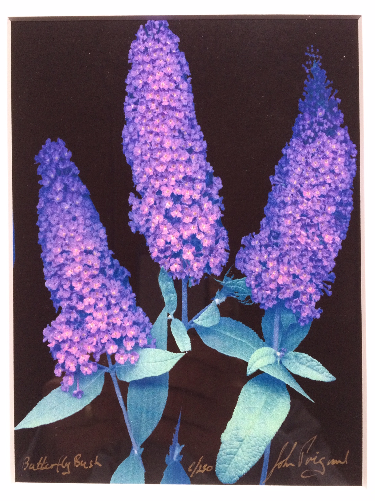 FullSizeRender (20).jpg