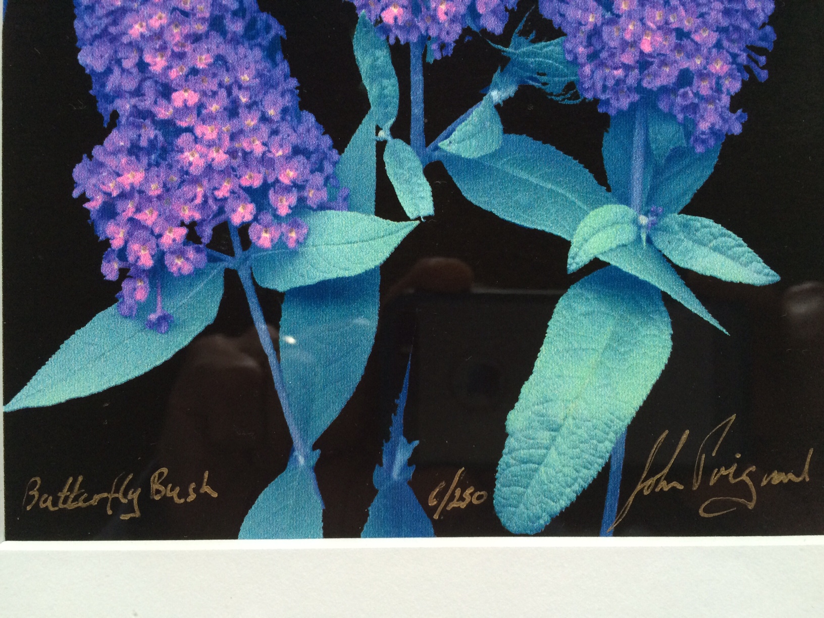 FullSizeRender (21).jpg