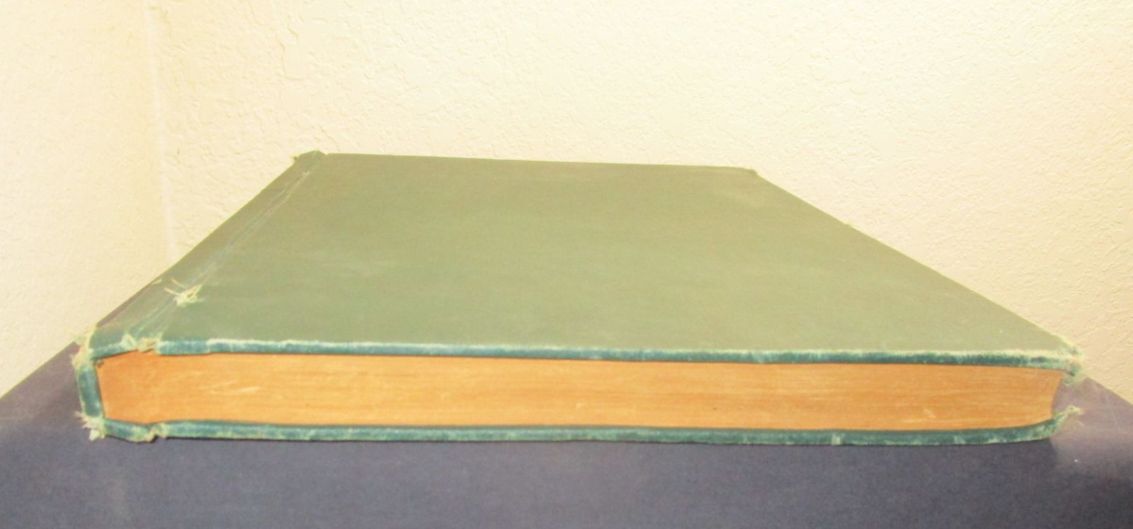 funnies book thick.jpg