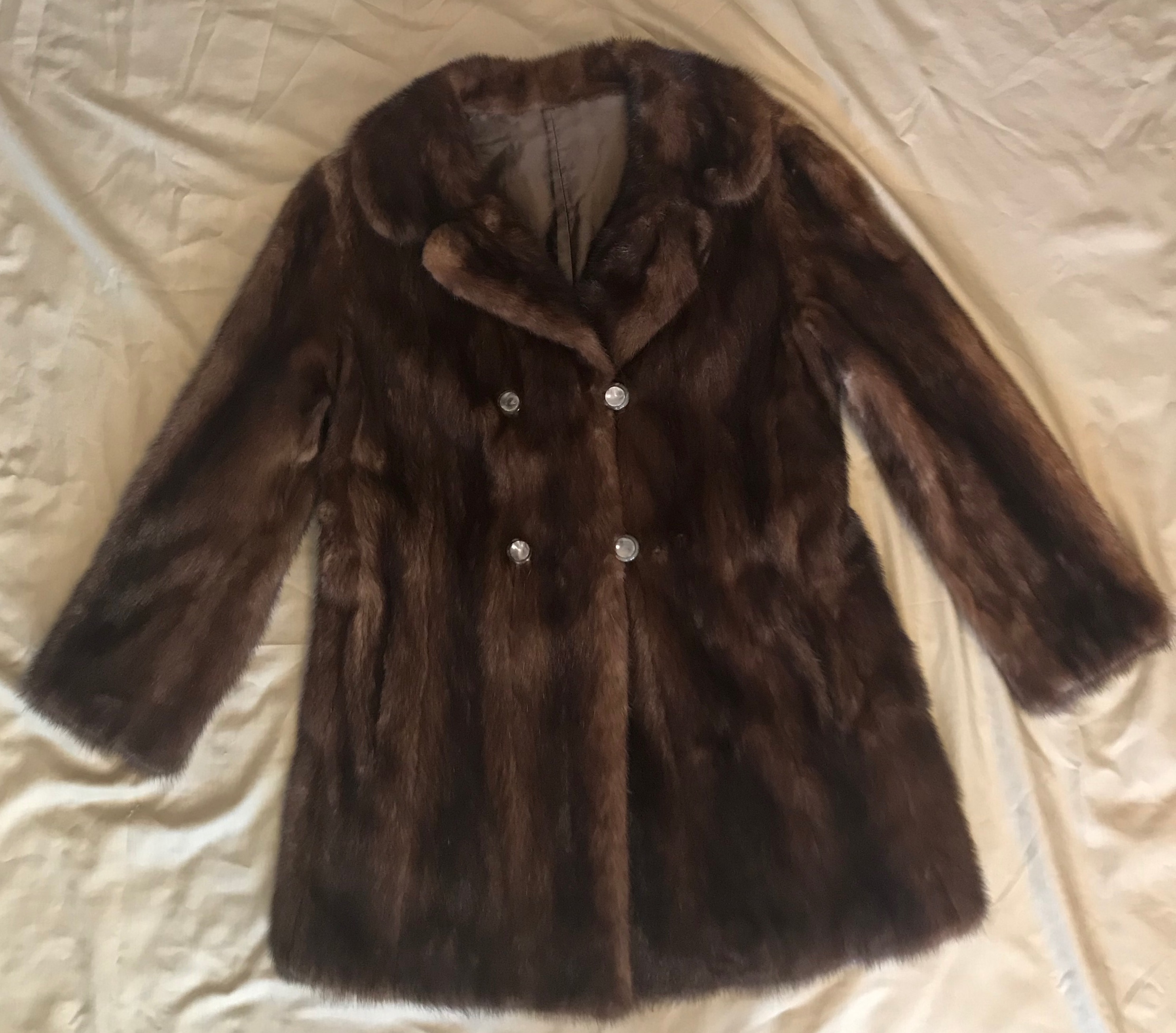 Fur Identification | Antiques Board