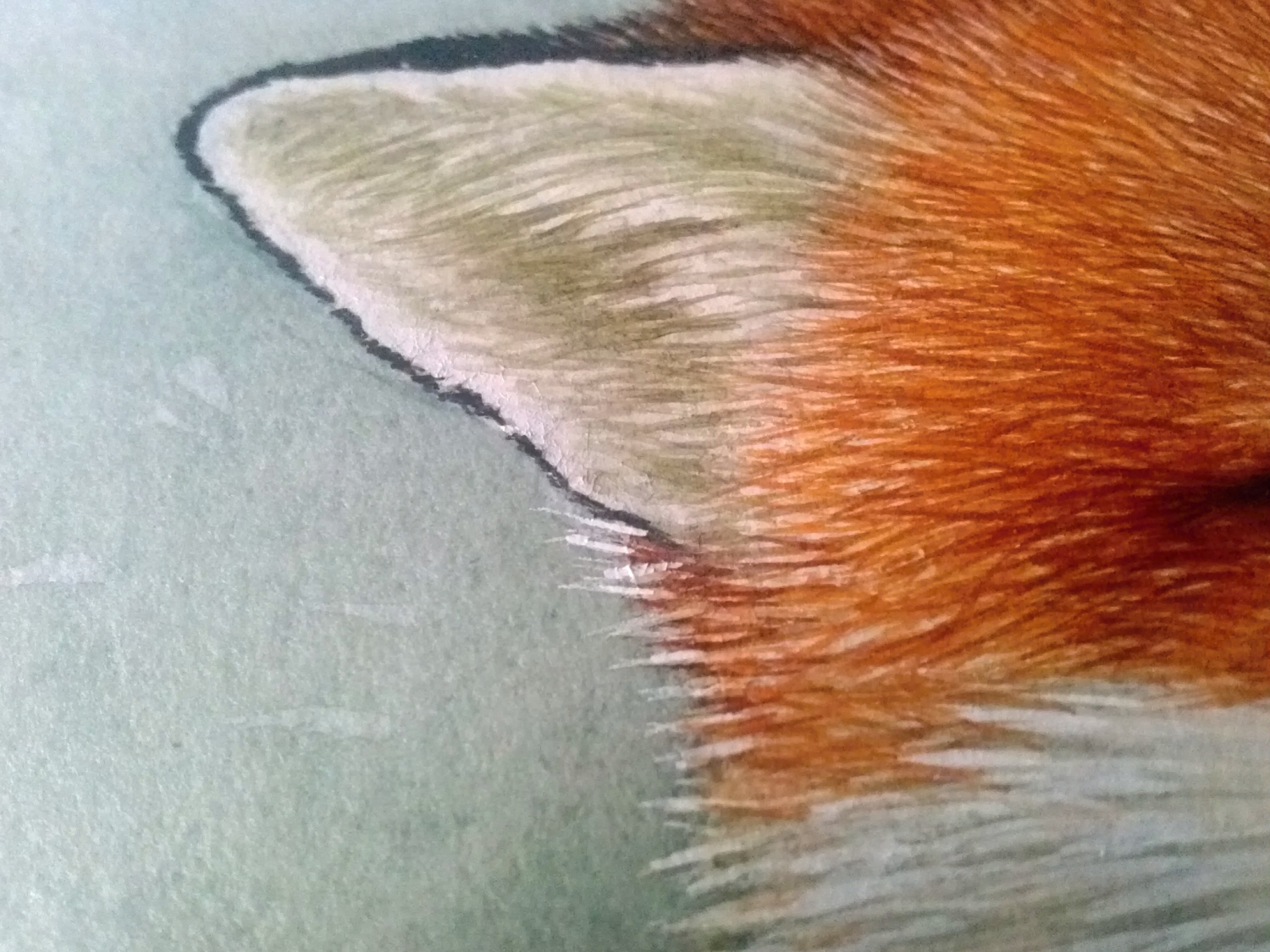 george sandstrom(2).jpg