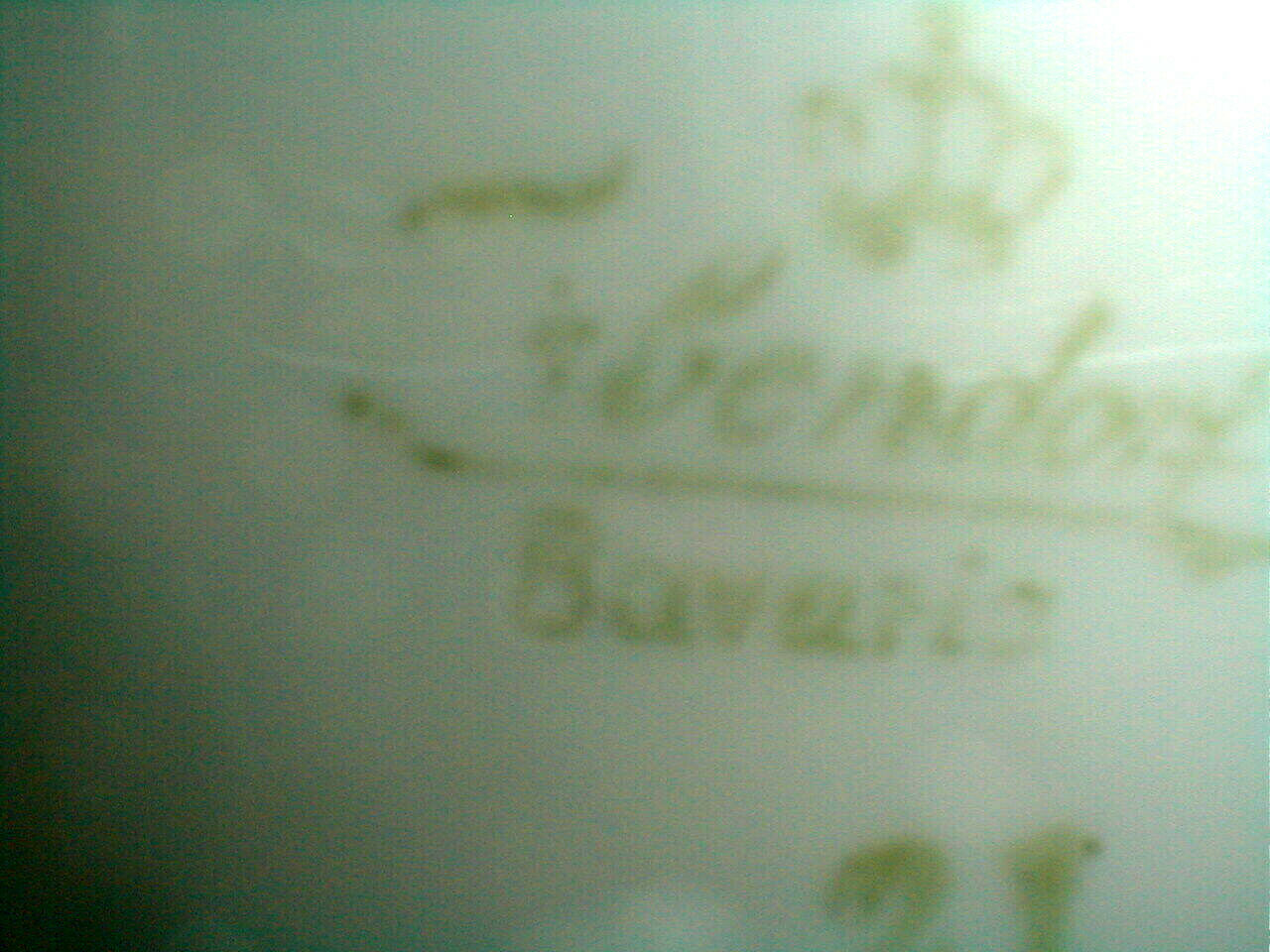 german chop plate mark ss.JPG