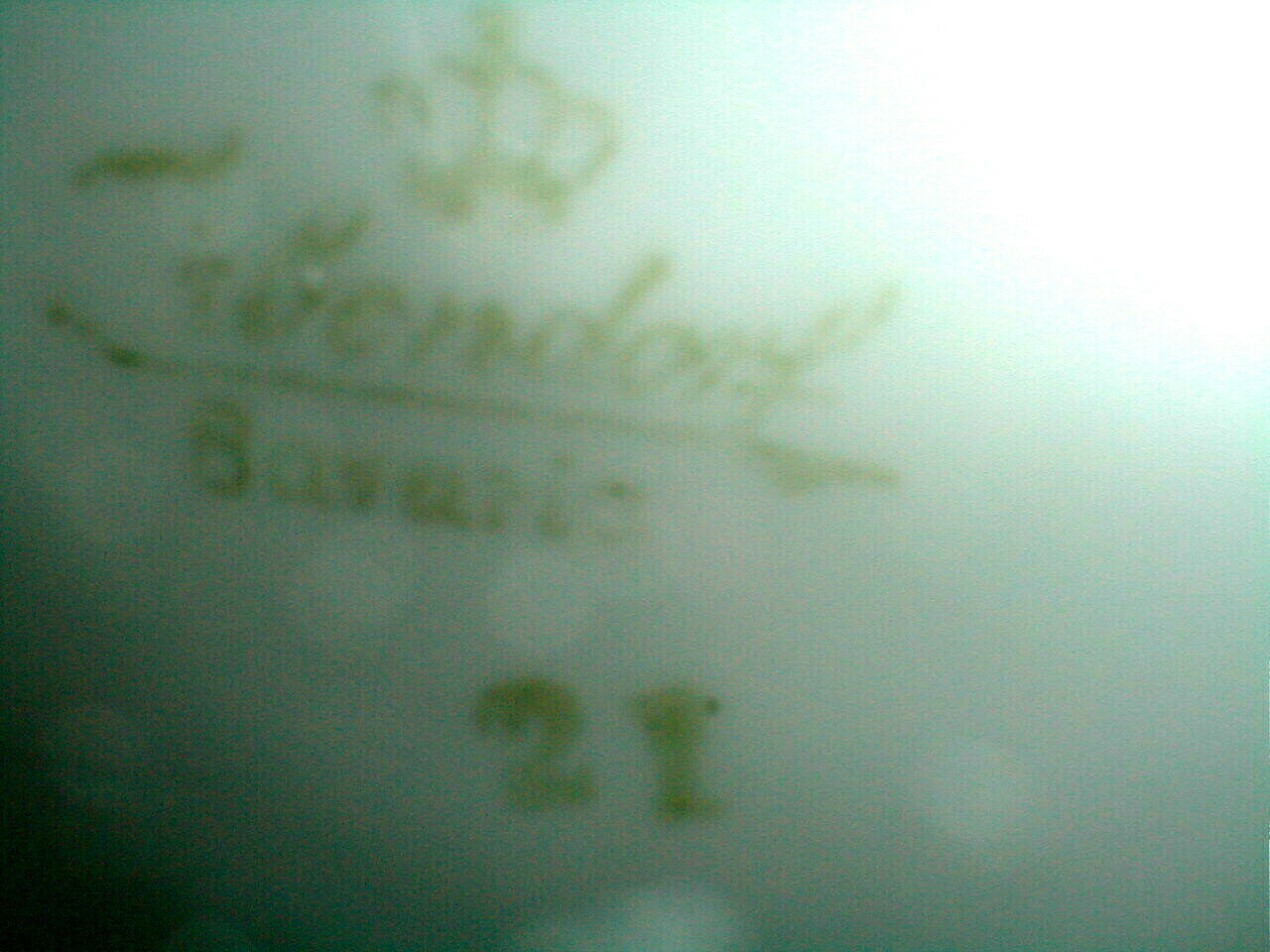 german chop plate mark w crown.JPG