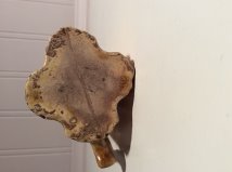 GetAttachment (1).jpg