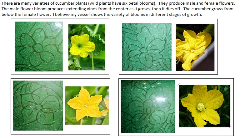 GGS 7 - Cucumber Flower Blossoms.jpg