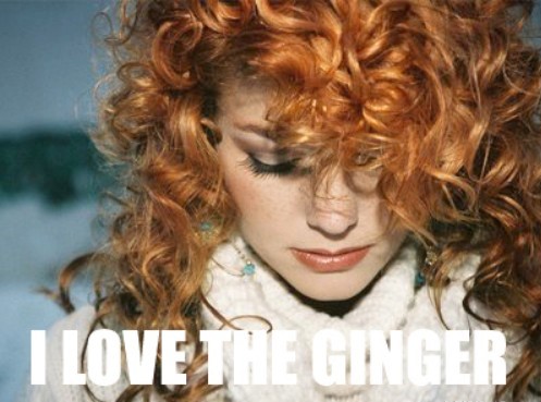 GINGER.jpg