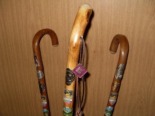 hiking-sticks.jpg